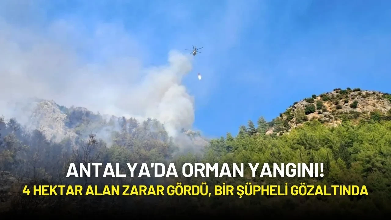 Antalya'da Orman Yangını: 4 Hektar Alan Zarar Gördü! Bir Şüpheli Gözaltında