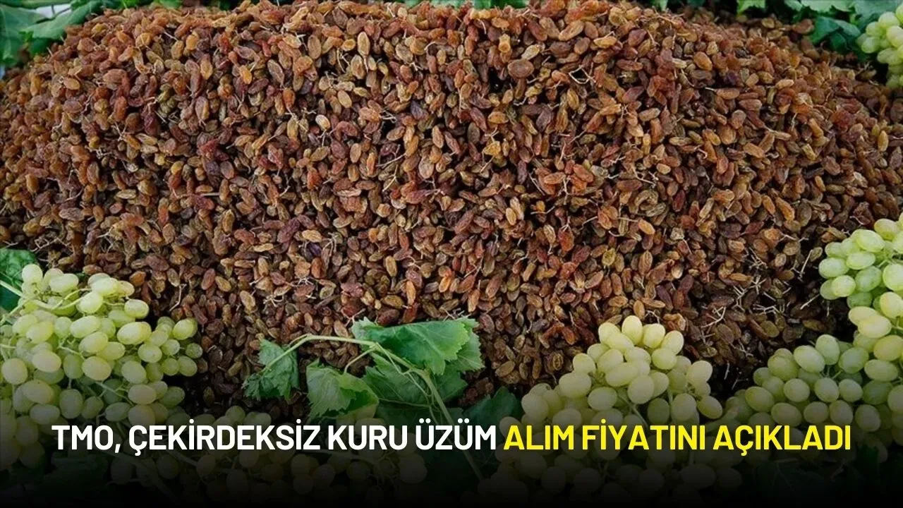 TMO, Çekirdeksiz Kuru Üzüm Alım Fiyatını Açıkladı