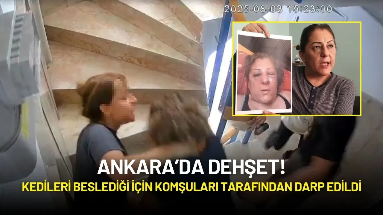 Ankara’da Dehşet: Kedileri Beslediği İçin Komşuları Tarafından Darp Edildi!