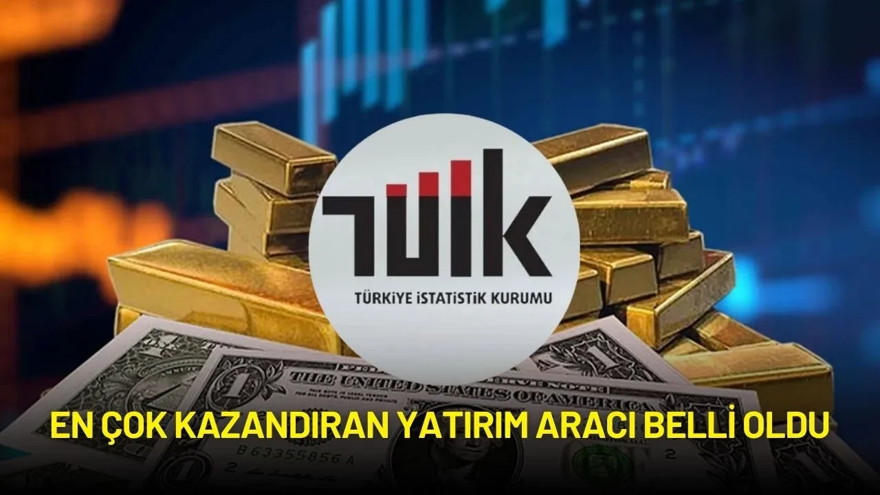 TÜİK Açıkladı: En Çok Kazandıran Yatırım Aracı Belli Oldu