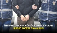 İzmir Balçova'da Köpeğe Kemerle Vuran Şüpheli Gözaltına Alındı