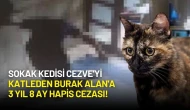 Sokak Kedisi Cezve'yi Katleden Burak Alan'a 3 Yıl 8 Ay Hapis Cezası!