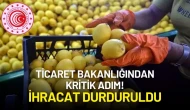 Ticaret Bakanlığından Kritik Adım! İhracat Durduruldu