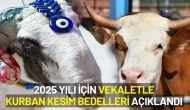 2025 Yılı İçin Vekaletle Kurban Kesim Bedelleri Açıklandı