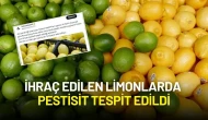 Türkiye’den Romanya’ya İhraç Edilen Limonlarda Pestisit Tespit Edildi: Ürünler Geri Çevrildi