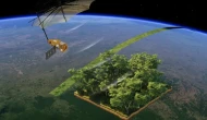 Ormanların MR Taraması Yapılacak! ESA, Biomass Uydusunu Uzaya Gönderdi