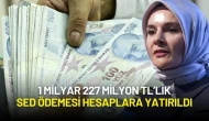 Ailelere Müjde! 1 Milyar 227 Milyon TL’lik SED Ödemesi Hesaplara Yatırıldı