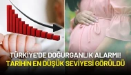 Türkiye'de Doğurganlık Alarmı: Tarihin En Düşük Seviyesi Görüldü