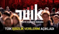 TÜİK 2025 İlk Çeyrek İşsizlik Verilerini Açıkladı