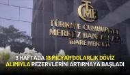 Merkez Bankası 3 Haftada 13 Milyar Dolarlık Döviz Alımla Rezervlerini Artırmaya Başladı