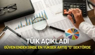 TÜİK Açıkladı: Güven Endeksinde En Yüksek Artış "O" Sektörde
