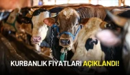 Kurbanlık Fiyatları ve Kızılay’ın Vekalet Bedelleri Açıklandı!