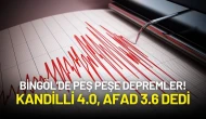 Bingöl'de Peş Peşe Depremler! AFAD ve Kandilli’den Açıklama Geldi