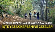 "O" Şehirlerde Ormanlara Giriş 3,5 Ay Yasak! İşte Yasak Kapsamı ve Cezalar