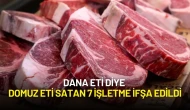 Dana Eti Diye Domuz Eti Satan 7 İşletme İfşa Edildi