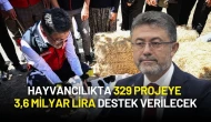 Hayvancılığa Hibe Desteği! 329 Projeye 3,6 Milyar Lira Destek Verilecek