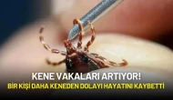 Kene Vakaları Artıyor! Bir Kişi Daha Keneden Dolayı Hayatını Kaybetti