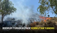 Bodrum Türkbükü'nde Korkutan Yangın! Ekipler Harekete Geçti