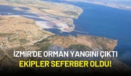 İzmir'de Orman Yangını: Havadan ve Karadan Yoğun Müdahale Sürüyor