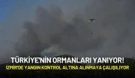 Türkiye'nin Ormanları Yanıyor! İzmir'de Yangın Kontrol Altına Alınmaya Çalışılıyor