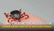 Türkiye'de Kene Tehlikesi Büyüyor: Uzmanlardan Yeni Türler ve Hastalık Uyarısı!