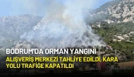 Bodrum'da Orman Yangını: Alışveriş Merkezi Tahliye Edildi, Kara Yolu Trafiğe Kapatıldı