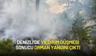 Denizli’de Yıldırım Düşmesi Sonucu Orman Yangını Çıktı