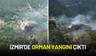 İzmir'de Orman Yangını Çıktı