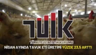 TÜİK Açıkladı: Nisan Ayında Tavuk Eti Üretimi Yüzde 23,5 Arttı
