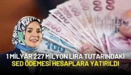 Aile ve Sosyal Hizmetler Bakanlığı Destek Ödemelerini Hesaplara Yatırıldığını Açıkladı