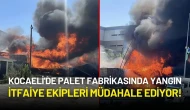 Kocaeli'de Palet Fabrikasında Yangın: İtfaiye Ekipleri Müdahale Ediyor!