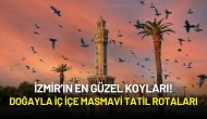 İzmir’in En Güzel Koyları! Doğayla İç İçe Masmavi Tatil Rotaları