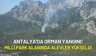 Antalya'da Orman Yangını! Milli Park Alanında Alevler Yükseldi