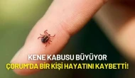 Kene Kabusu Büyüyor: Çorum’da Bir Kişi Hayatını Kaybetti!