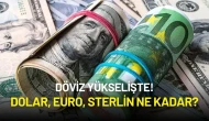 Dövizde Yükseliş Alarmı: Euro Tarihi Zirvede, Dolar İstikrarlı Yükseliyor!