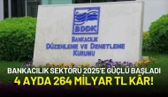 Bankacılık Sektörü 2025’e Güçlü Başladı: 4 Ayda 264 Milyar TL Kâr!