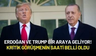 Erdoğan ve Trump Hollanda’da Bir Araya Geliyor! Kritik Görüşmenin Saati Belli Oldu