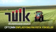 TÜİK Mayıs Ayı Tarım Ürünleri Üretici Fiyat Endeksi Verilerini Açıkladı