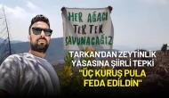 Tarkan'dan Zeytinlik Yasasına Şiirli Tepki: "Üç Kuruş Pula Feda Edildin"