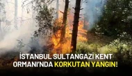 İstanbul Sultangazi Kent Ormanı’nda Korkutan Yangın!