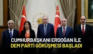 Cumhurbaşkanı Erdoğan ile DEM Parti Görüşmesi Başladı