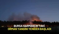 Bursa Harmancık’taki Orman Yangını Yeniden Başladı