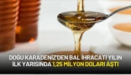 Doğu Karadeniz'den Bal İhracatı Yılın İlk Yarısında 1,25 Milyon Doları Aştı