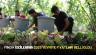 Fındık İşçilerinin 2025 Yevmiye Fiyatları Belli Oldu