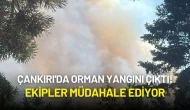 Çankırı'da Orman Yangını Çıktı! Ekipler Müdahale Ediyor