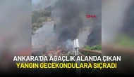 Ankara'da Ağaçlık Alanda Çıkan Yangın Gecekondulara Sıçradı