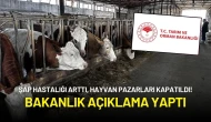Şap Hastalığı Arttı, Hayvan Pazarları Kapatıldı! Bakanlık Açıklama Yaptı