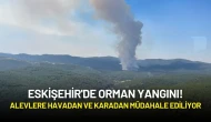 Eskişehir'de Orman Yangını! Alevlere Havadan ve Karadan Müdahale Ediliyor