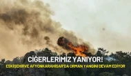 Eskişehir’de Başlayan ve Afyonkarahisar’a Sıçrayan Orman Yangını Devam Ediyor