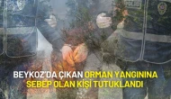 Beykoz’da Çıkan Orman Yangınına Sebep Olan Kişi Tutuklandı